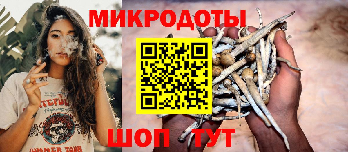 Псилоцибиновые грибы Psilocybine cubensis Ногинск